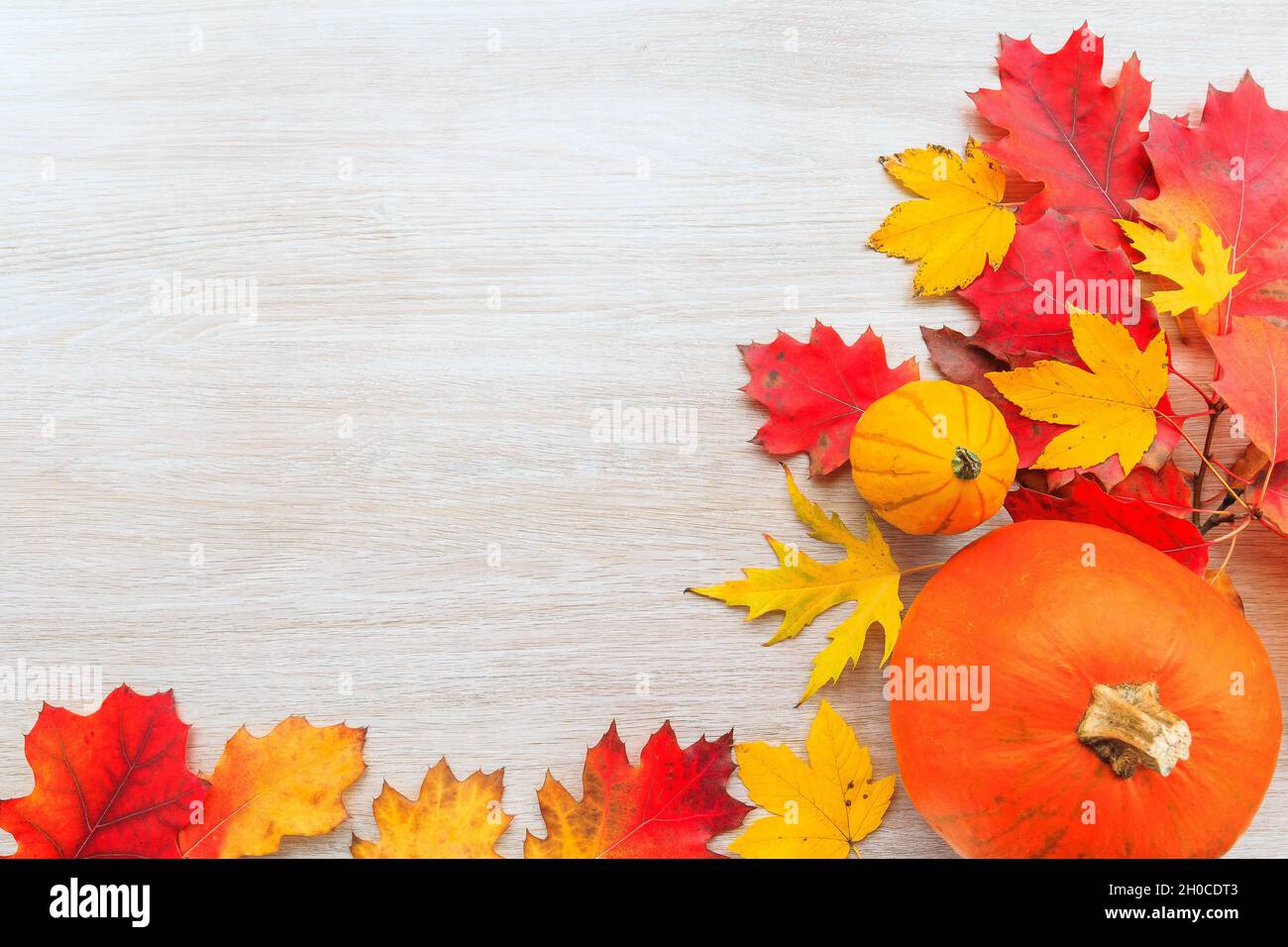 Festliches Herbstdekor aus Kürbissen und Blättern auf Holzhintergrund. Flach Lay Herbst Komposition mit Kopierraum. Stockfoto