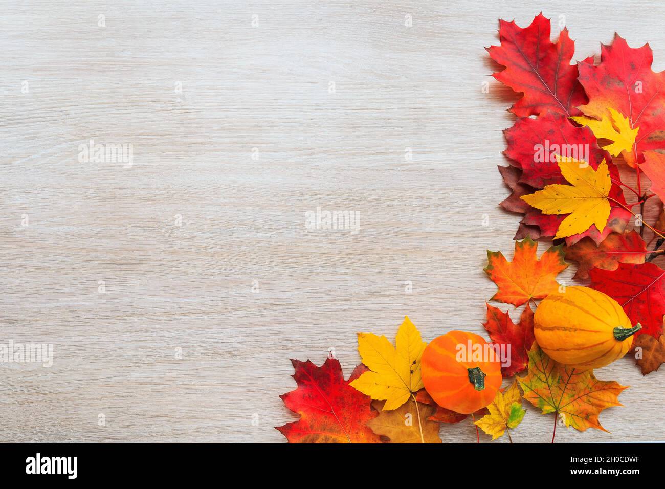 Herbstkomposition mit bunten Blättern und Kürbis auf Holzhintergrund. Flach Lay Herbst Komposition mit Kopierraum. Stockfoto