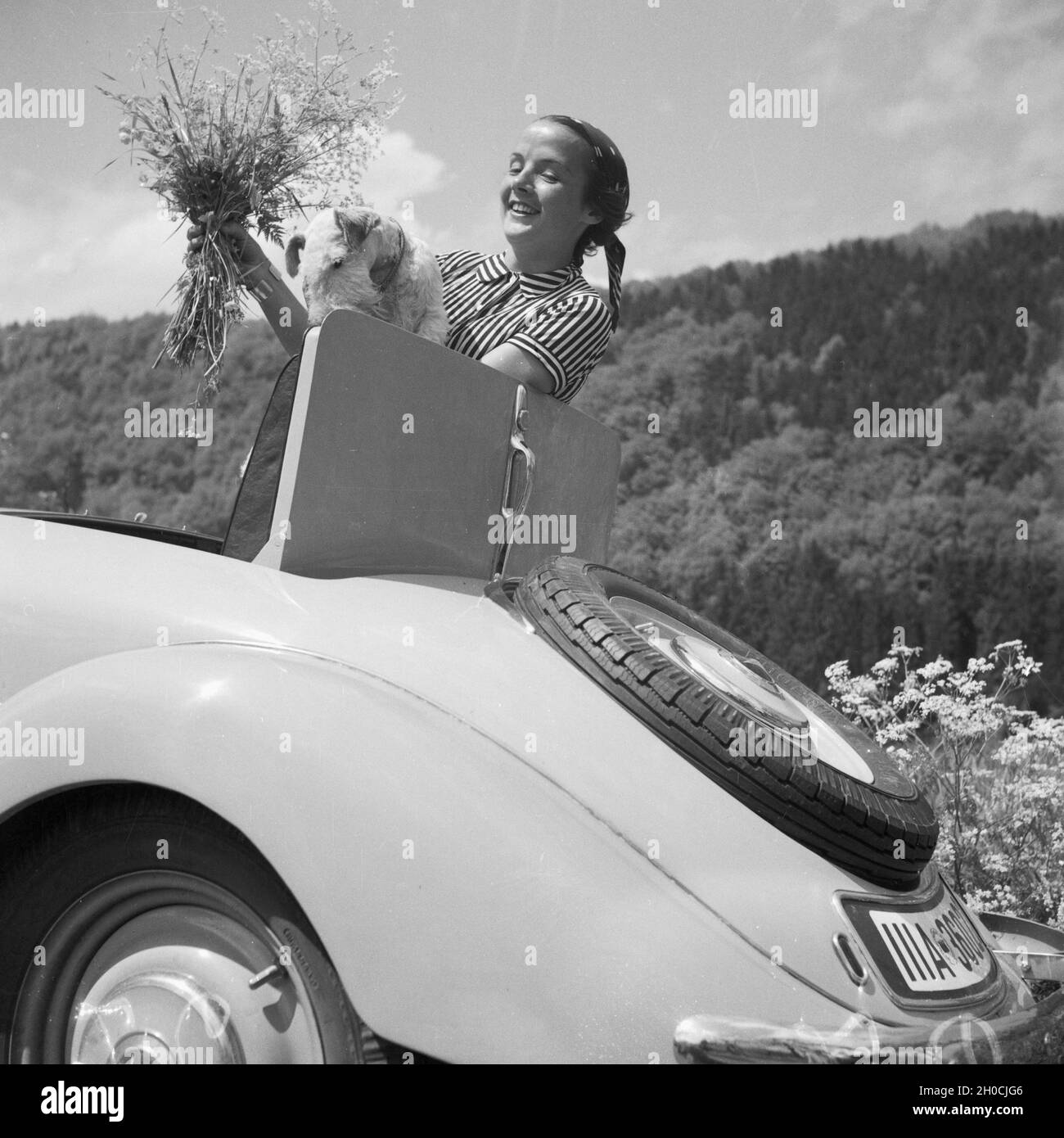 Eine Frau Mit Einem Blumenstrauß bin Kofferraum Einems Mercedes Benz Cabrio, Deutschland 1930er Jahre. Eine Frau mit einem Blumenstrauß an der Rückseite des Mercedes Benz Cabrio, Deutschland der 1930er Jahre. Stockfoto