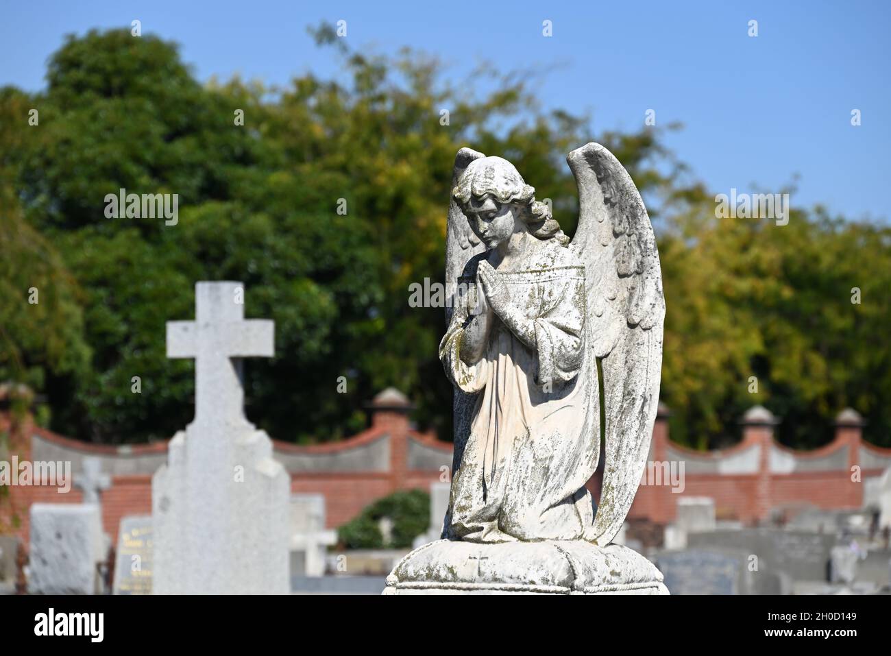 Eine Skulptur eines knienden Engels, der an einem sonnigen Tag auf einem Friedhof betet Stockfoto