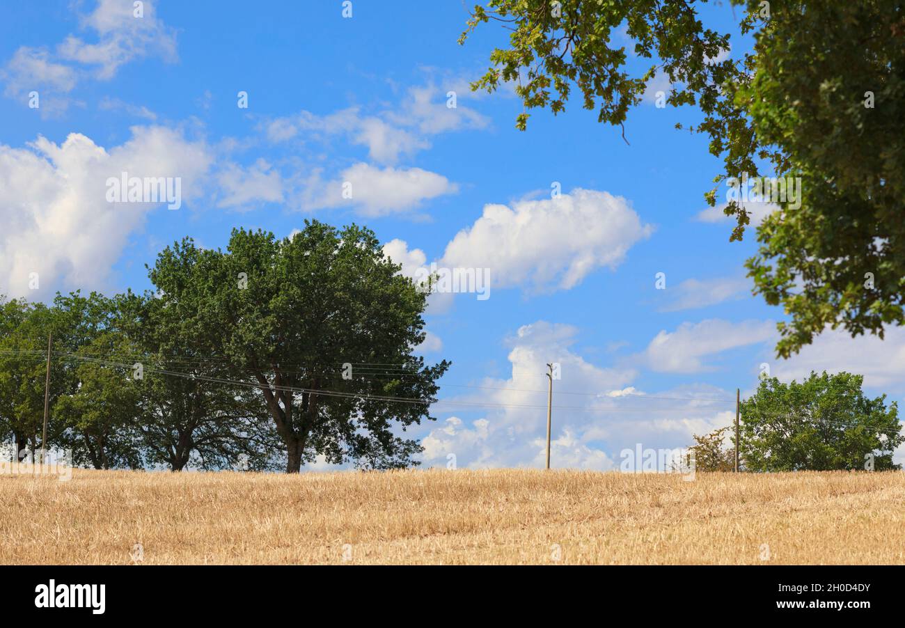 Landschaft am Sommertag, kultivierte Felder und blauer Himmel Stockfoto