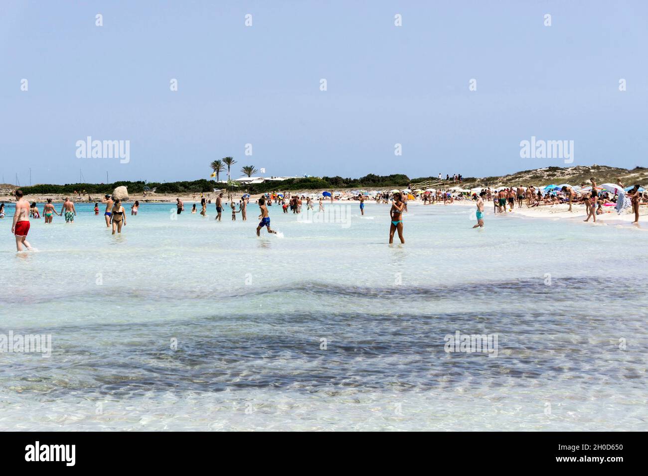 Balearen, Strand Ses Illetes, Formentera, Spanien, Europa Stockfoto