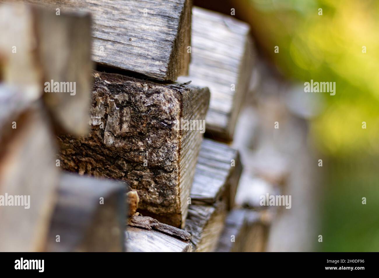 Stapel von gehacktem Feuerholz vor grünem Hintergrund, Nahaufnahme und selektiver Fokussierung Stockfoto