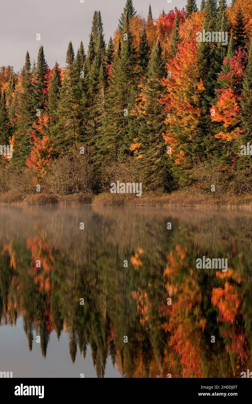 Kanada, Quebec, Indischer Sommer Stockfoto