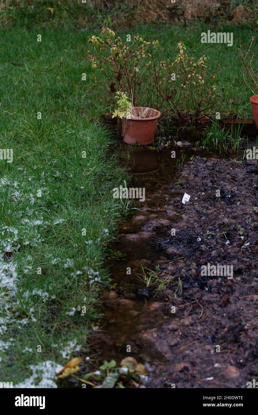 Überschwemmung in einem britischen Garten Stockfoto