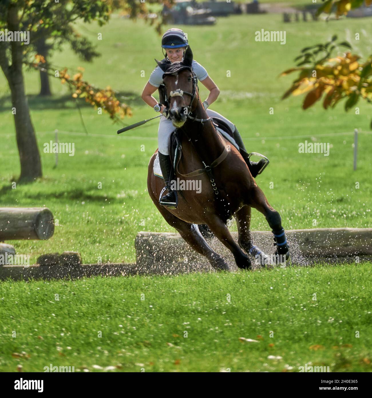 Weston Park Pferdeversuche Herbst 2021 Stockfoto