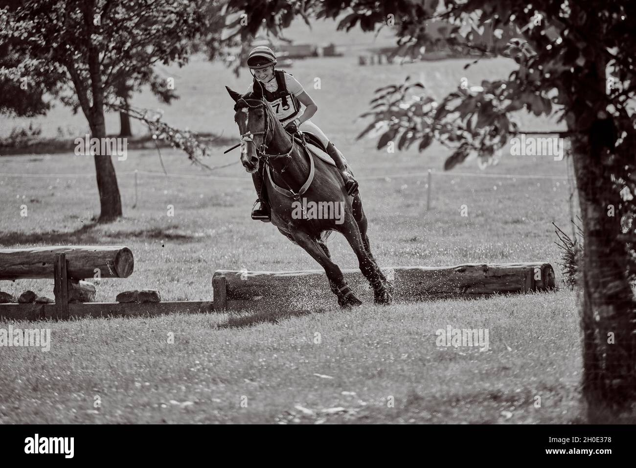 Weston Park Pferdeversuche Herbst 2021 Stockfoto