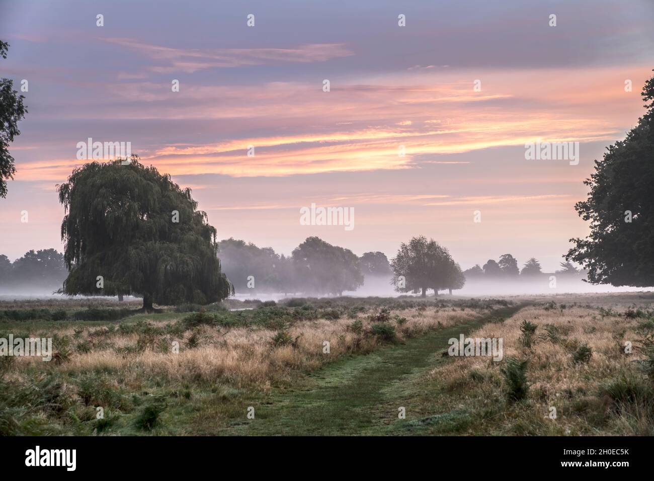 Sonnenaufgang im Oktober im Bushy Park in Surrey Wenn ich auf öffentlichem oder privatem Grundstück bin, bin ich bereit, die volle Verantwortung für alle Urheberrechte oder Rechte von wa zu übernehmen Stockfoto
