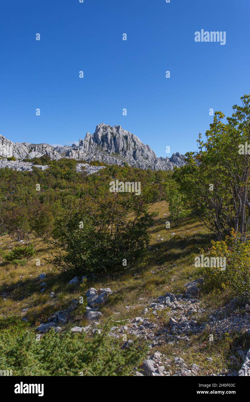 Kalksteinformation Tulove Grede im Velebit-Nationalpark in Kroatien Stockfoto