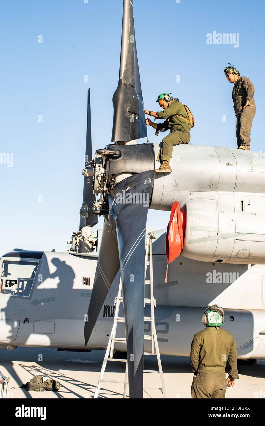 US-Marineinfanteristen mit Marine Medium Tiltrotor Squadron (VMM) 165 (verstärkt), 11. Marine Expeditionary Unit, führen während der realistischen städtischen Trainingsübung an der Marine Corps Air Station Yuma, Arizona, Wartungsarbeiten an einem MV-22B Fischadler 19 durch. 2021 RUT ist die letzte Übung zur Vorbereitung auf den Landeinsatz im 11. MEU und bietet die Möglichkeit, Operationen in einem städtischen Umfeld zu Schulen und durchzuführen. Stockfoto