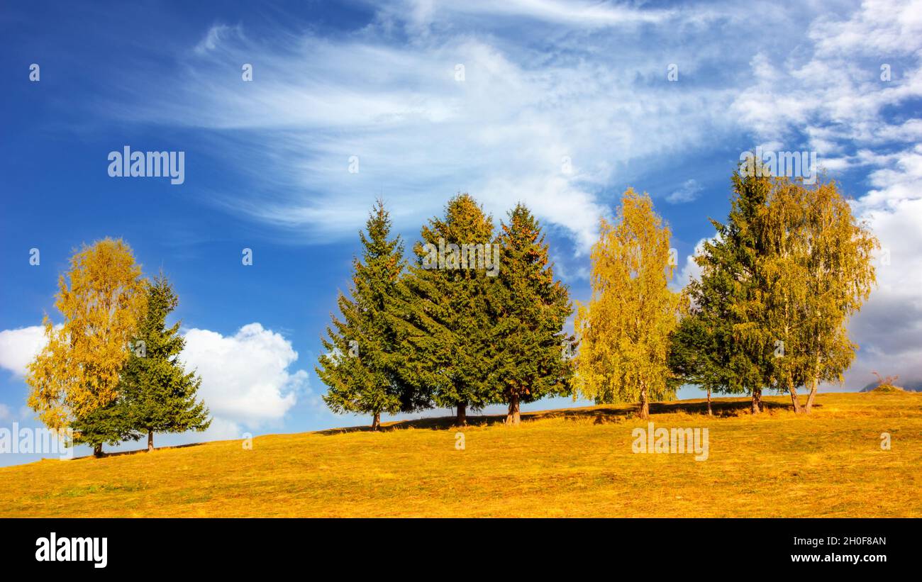 Ländliche Herbstlandschaft in den Karpaten Stockfoto
