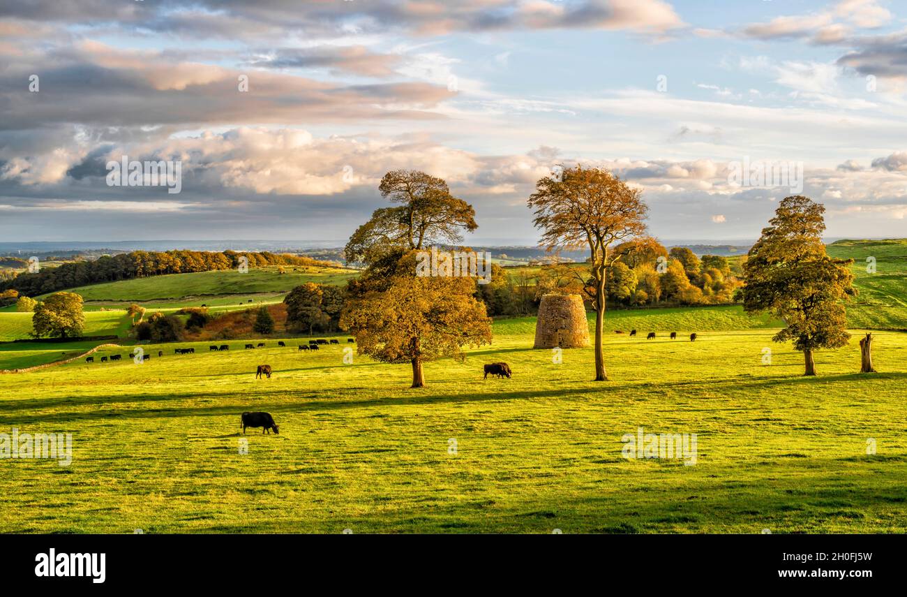 Windmühle auf der Carsington Weide (1) Stockfoto