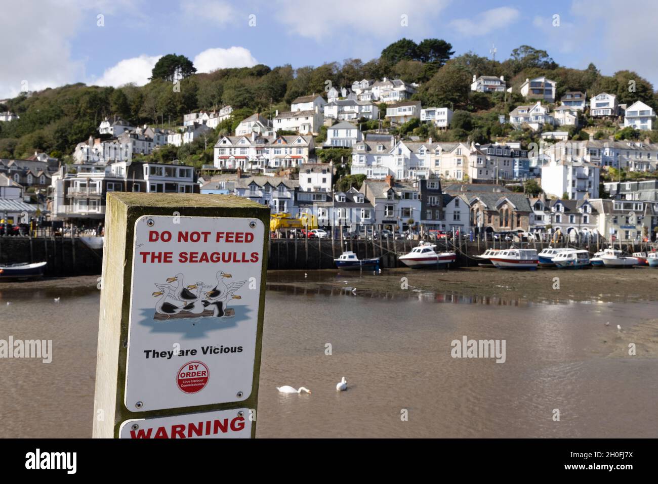 Füttern Sie nicht das Seagulls-Schild, Looe, Cornwall UK Stockfoto