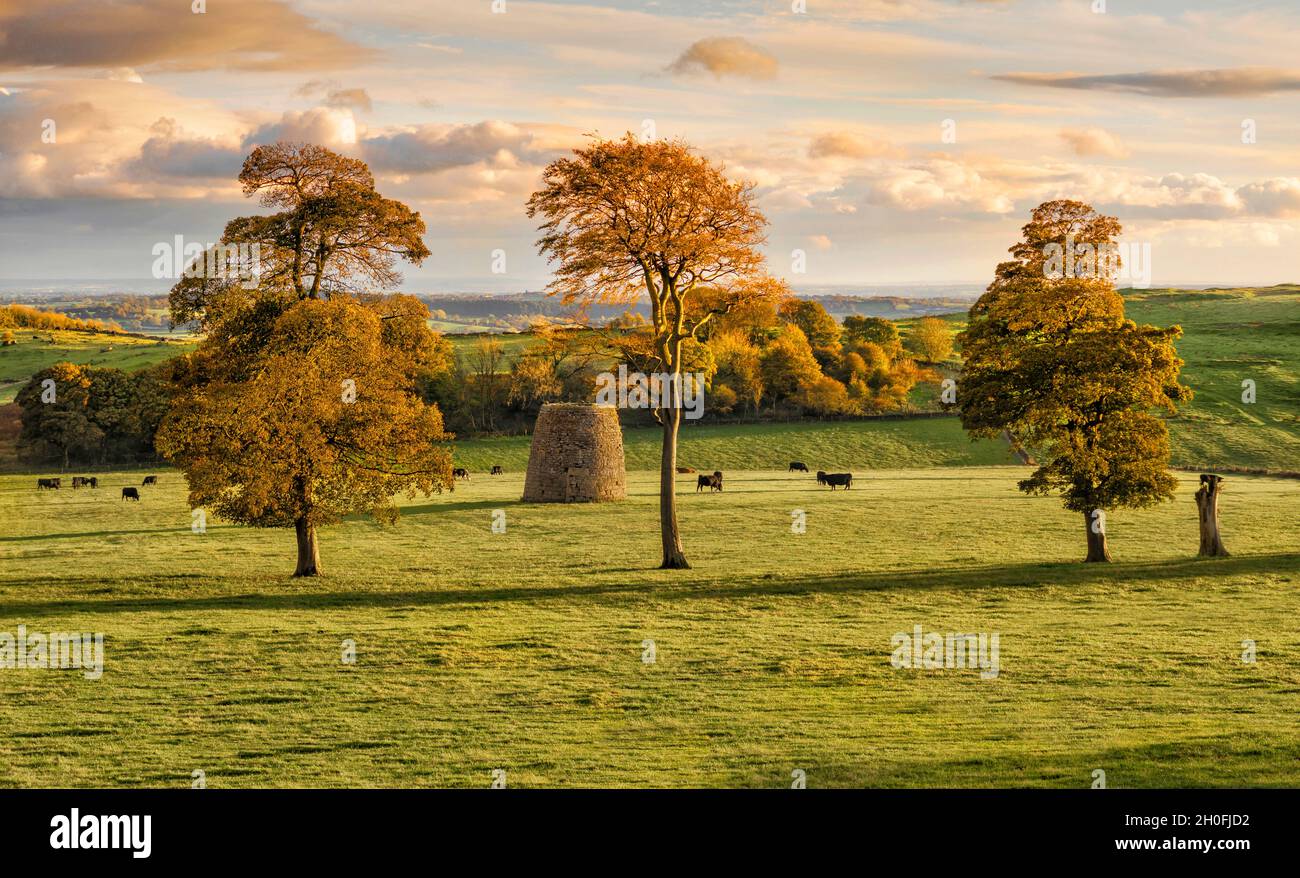 Windmühle auf der Carsington Weide (2) Stockfoto