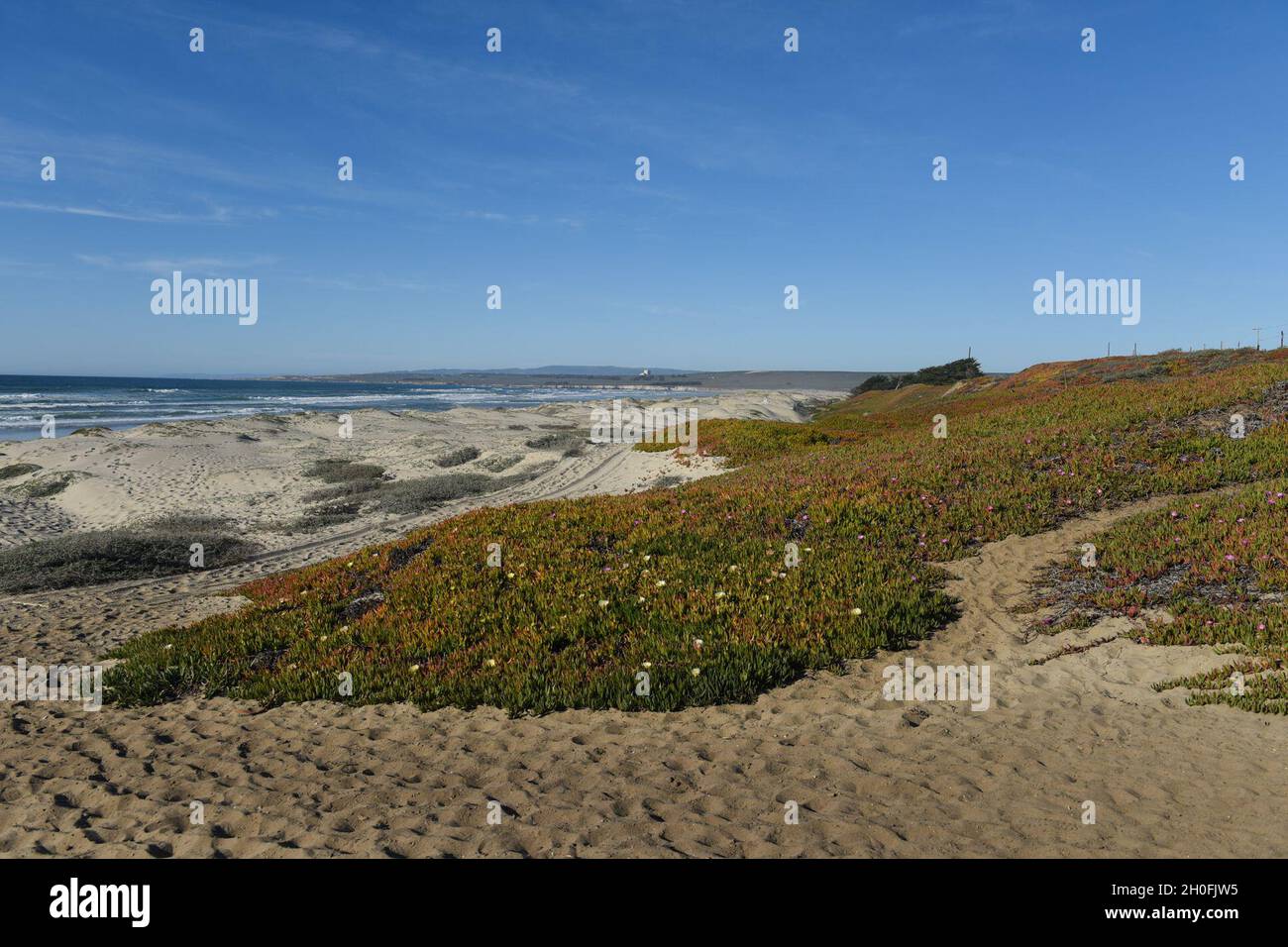 Vandenberg Mitglieder trafen sich mit Lompoc Stadtführern und Pädagogen während der Veranstaltung „Meet Surf Beach“ 25. Februar 2021 auf der Vandenberg AFB, Calif. Dieses Engagement wurde von Vandenberg initiiert, um die Kommunikation mit lokalen Führern und Pädagogen über Vandenbergs Bemühungen zur Wiederbelebung des Strandzugangs und der Beschilderung fortzusetzen, um Surf Beach zu einem Ort zu machen, an dem die Gemeinschaft und die Tierwelt in Vorbereitung auf die Snowy-Plover-Nesting-Saison gedeihen können. Stockfoto