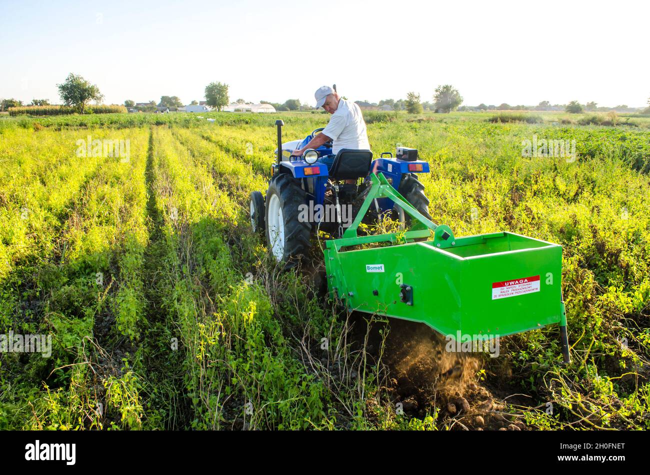 Cherson Oblast, Ukraine - 14. September 2020: Ein Bauer auf einem Traktor, der Kartoffeln ausgräbt. Landwirtschaft und Ackerland. Lebensmittelproduktion. Landwirtschaftliche Arbeit in Th Stockfoto