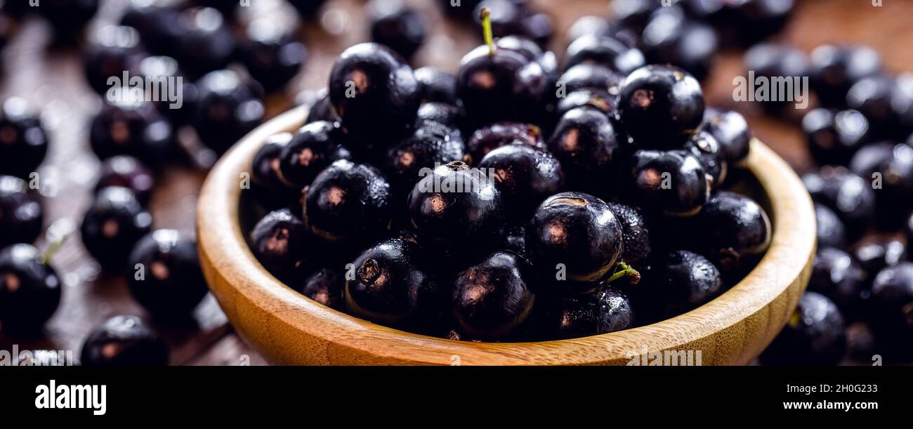 Die jabuticaba oder Jaboticaba ist die Frucht der Jabuticabeira, einer