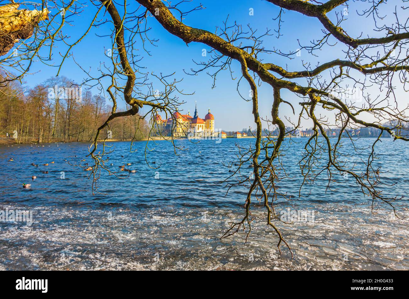 Moritzburg bei Dresden, Sachsen, Deutschland: Winterlich Schloss Moritzburg, umgeben von dem teilweise gefrorenen Schlossteich, der mit Eisschollen bedeckt ist. Stockfoto