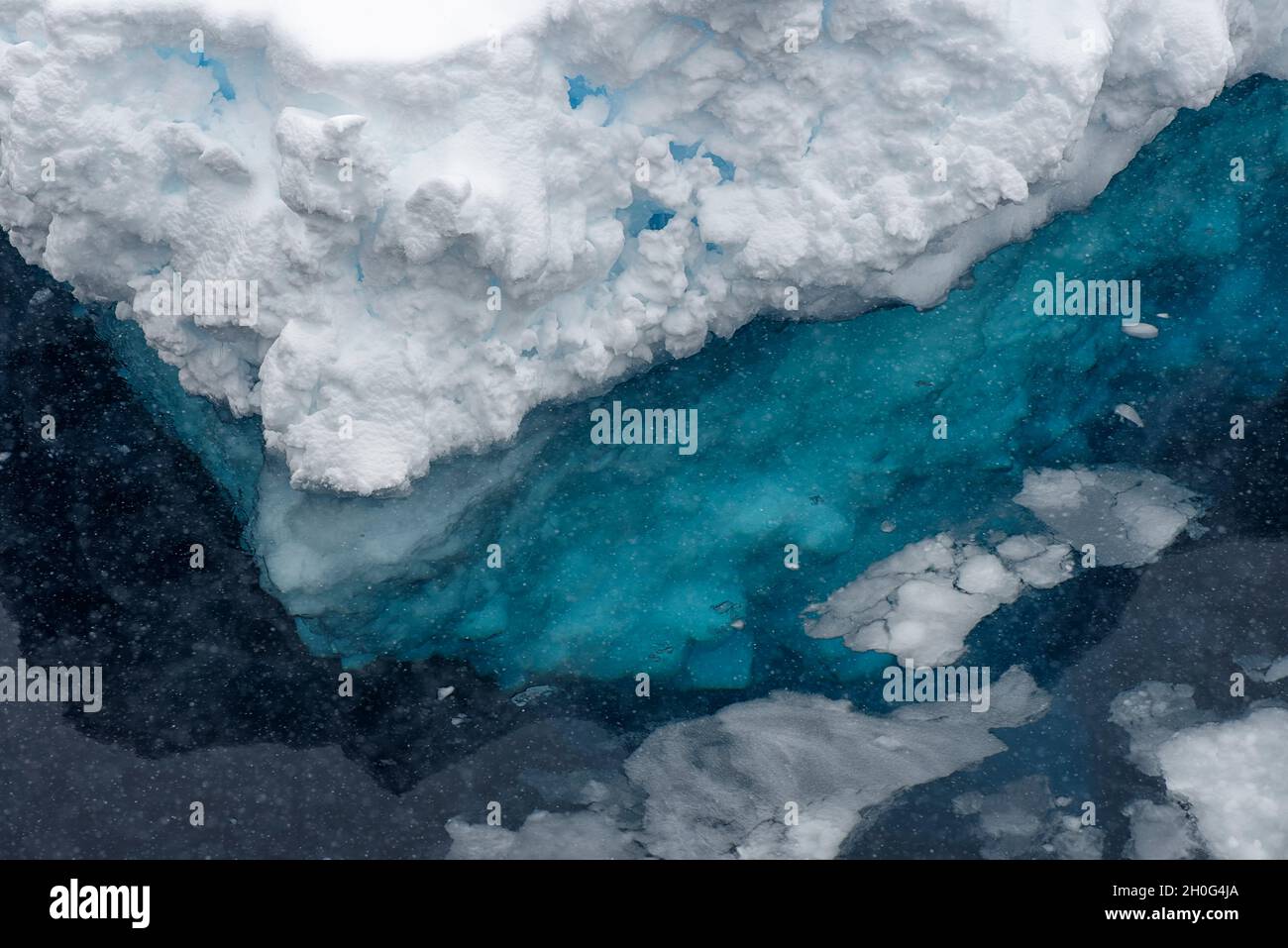 Nahaufnahme eines schmelzenden Eisbergs, der im Meer schwimmt. Südmeer, Antarktis Stockfoto