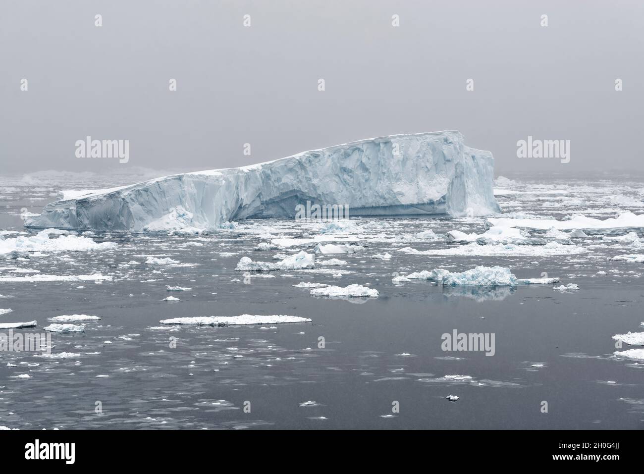 Drift Eis und Eisberge bei Schneefall. Südlicher Ozean, Antarktis Stockfoto