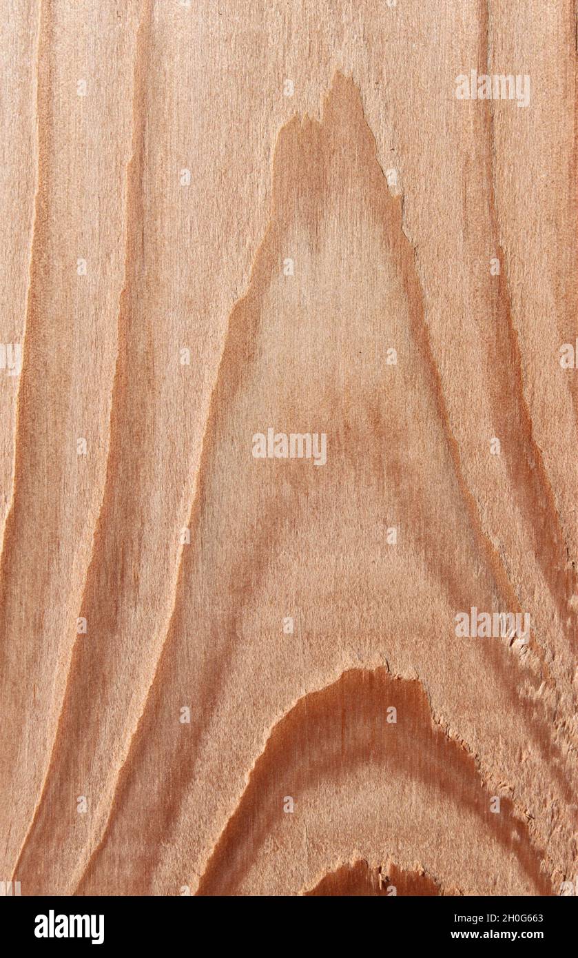 Helles Holz mit interessanter Maserung Stockfoto