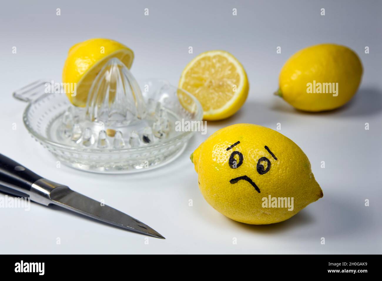 Unglückliche Zitrone beobachtete andere Zitronen geschnitten und gepresst Stockfoto