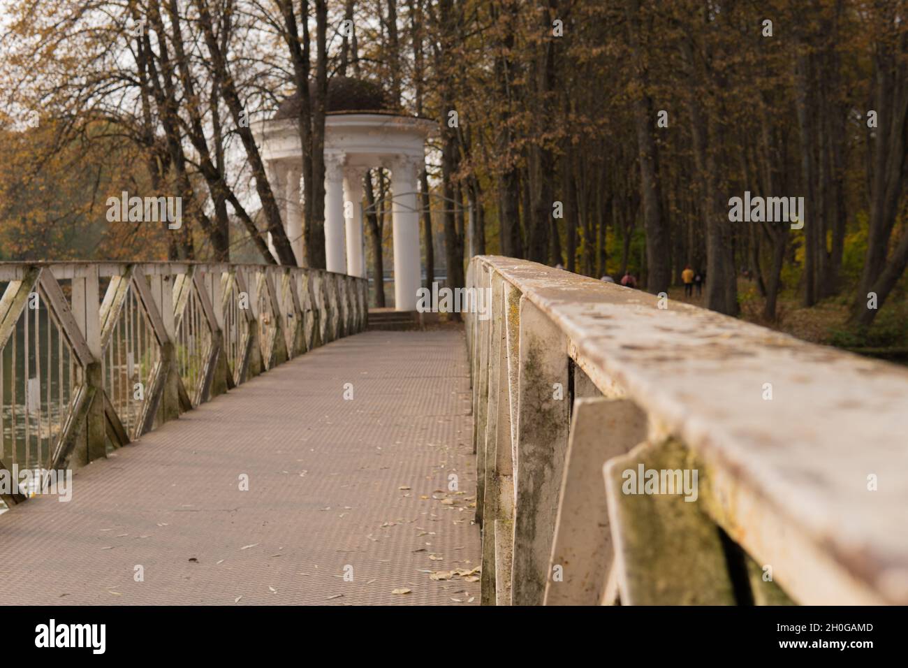 Bridge Park farbenfroh schöne Landschaft Licht europäischen Wald Weg, Landschaft Weg. Niederlande braun, ländlich lebhaft Stockfoto