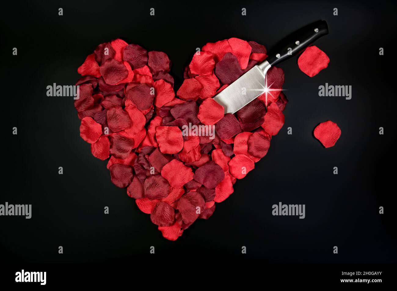 Rote Blütenblätter, die zu einem Herzen geformt wurden, wobei ein Messer mit losen Blütenblättern, die Blutstropfen darstellen, auf einem schlichten weißen Hintergrund aufgenommen wurde Stockfoto
