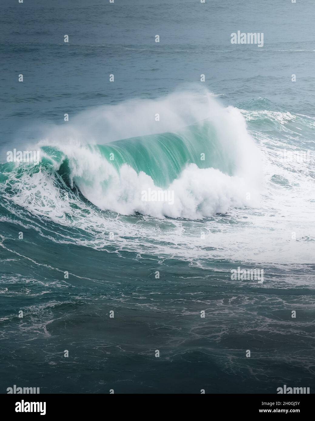 Große Welle von Nazare - Nazare, Portugal Stockfoto