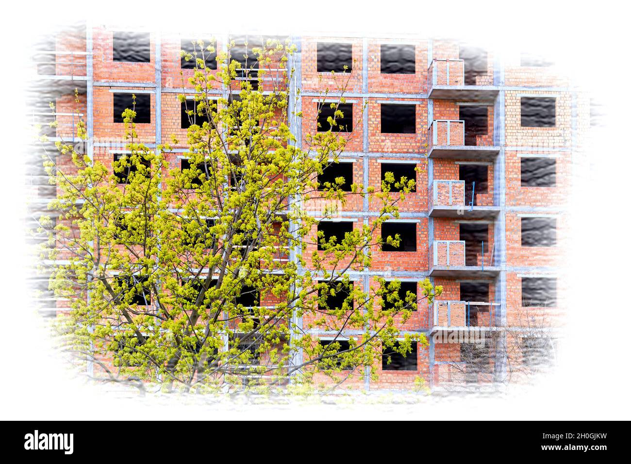 Bau eines Wohnhochhauses und wunderbarer Frühlingsblumen Stockfoto