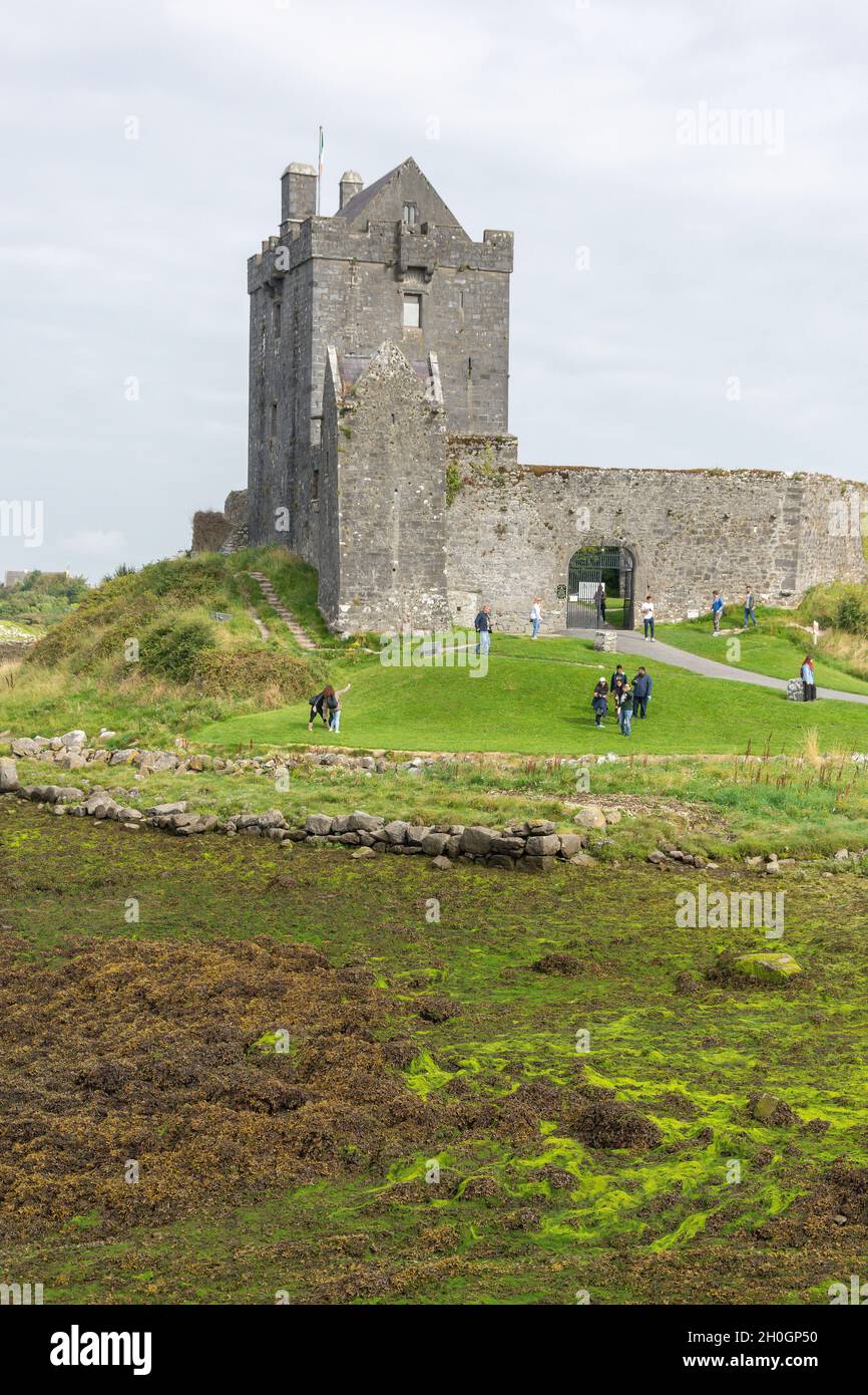 Dunguaire Castle (Dun Guaire) aus dem 16. Jahrhundert, Kinvara, Galway Bay, County Galway, Republik Irland Stockfoto