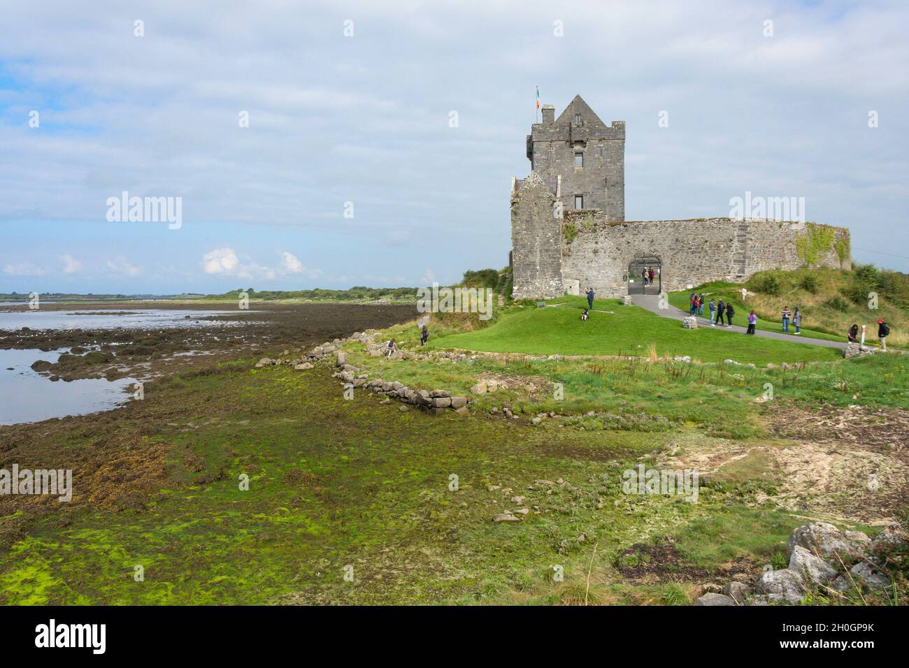 Dunguaire Castle (Dun Guaire) aus dem 16. Jahrhundert, Kinvara, Galway Bay, County Galway, Republik Irland Stockfoto