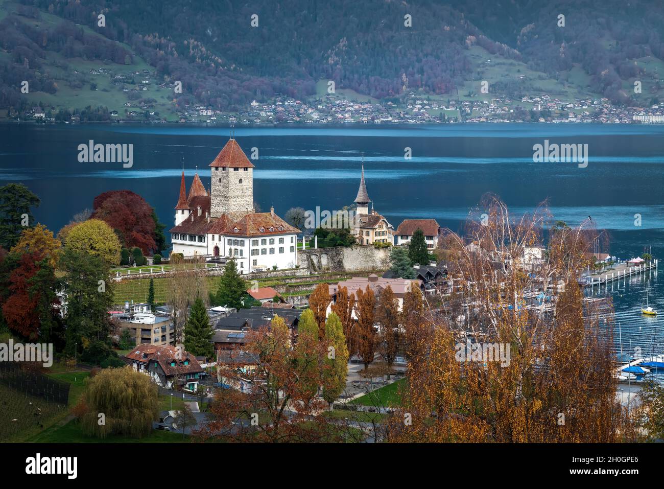 Luftaufnahme von Schloss Spiez und Schlosskirche am Thunersee - Spiez, Schweiz Stockfoto
