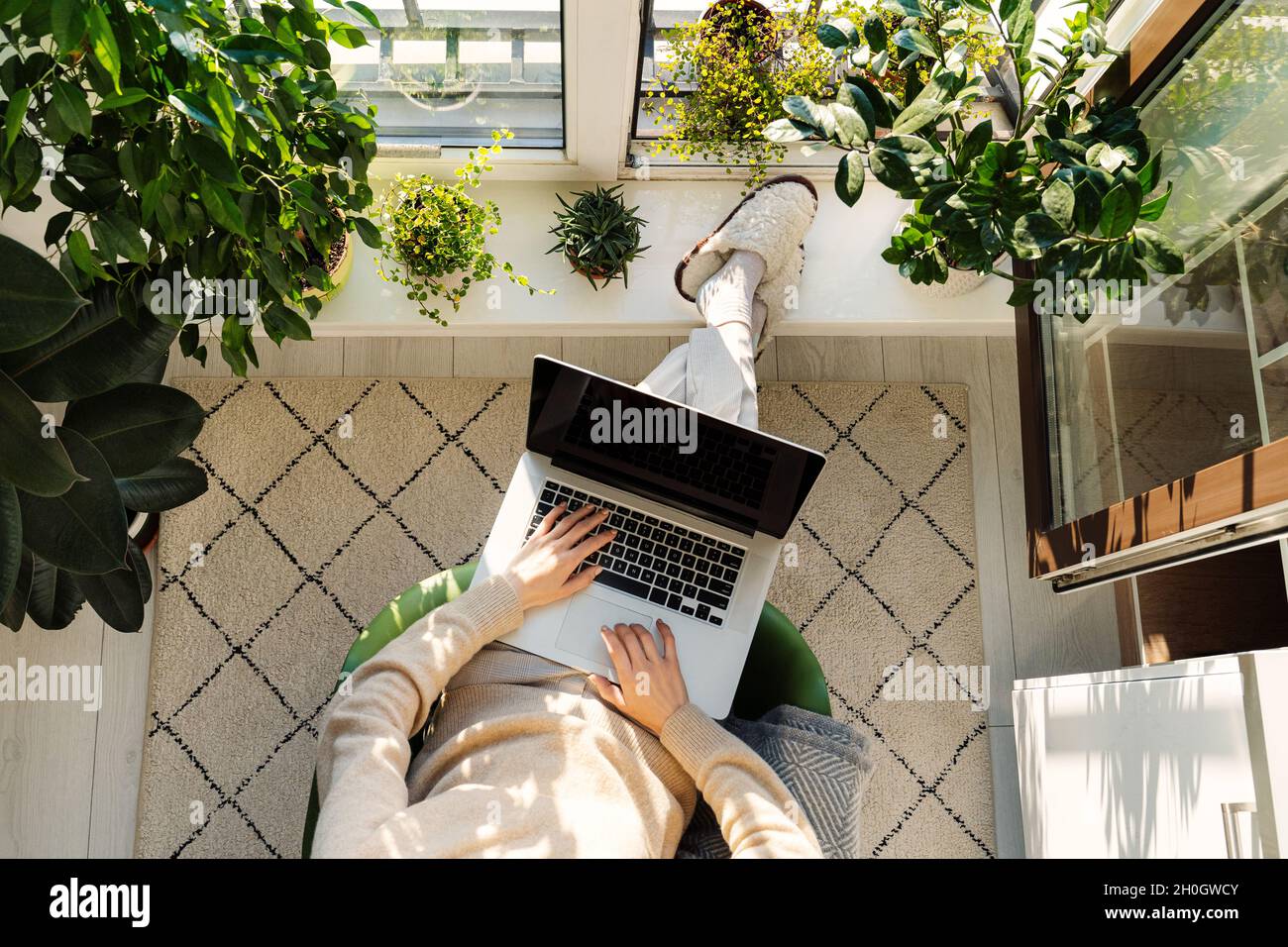 Freiberufliche Frauen arbeiten von zu Hause aus am Laptop sitzen auf einem gemütlichen Balkon mit Zimmerpflanzen. Fernbesetzung Stockfoto