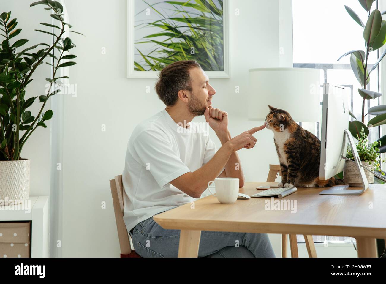 Freiberuflicher Gelegenheitsspieler Nehmen Sie eine Pause vom freiberuflichen Fernarbeiten mit Katze, die im Heimbüro auf dem Schreibtisch sitzt Stockfoto