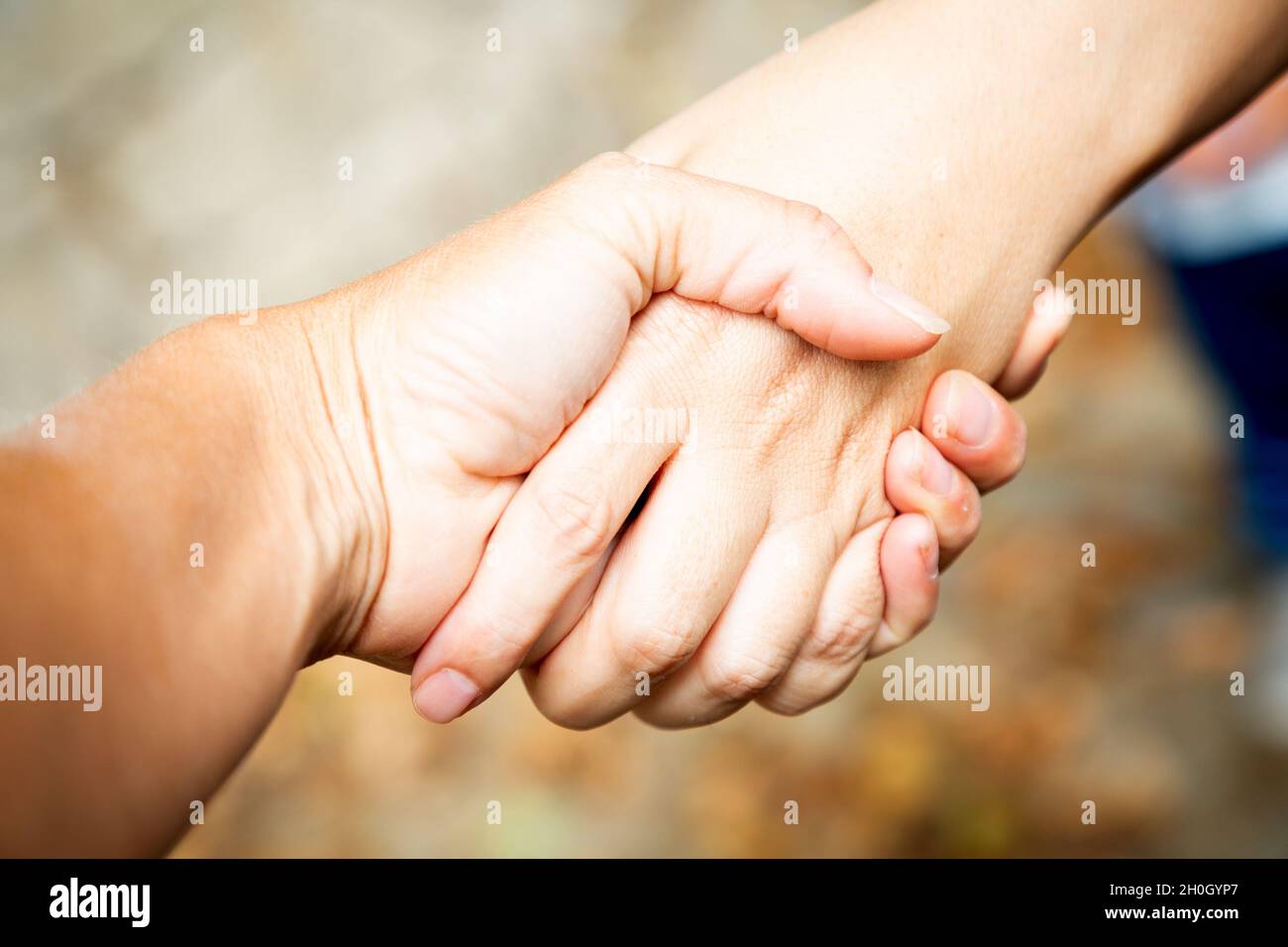 Diagonale Komposition. Zwei Hände zittern im Freien. Teamarbeit und Vereinbarung. Solidarität und Unterstützung von Frauen. Kaukasische Palme. Stärke und Stockfoto