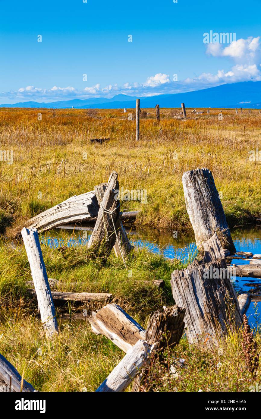 Küstengewässer und Sumpfgebiete in Richmond British Columbia, Kanada Stockfoto