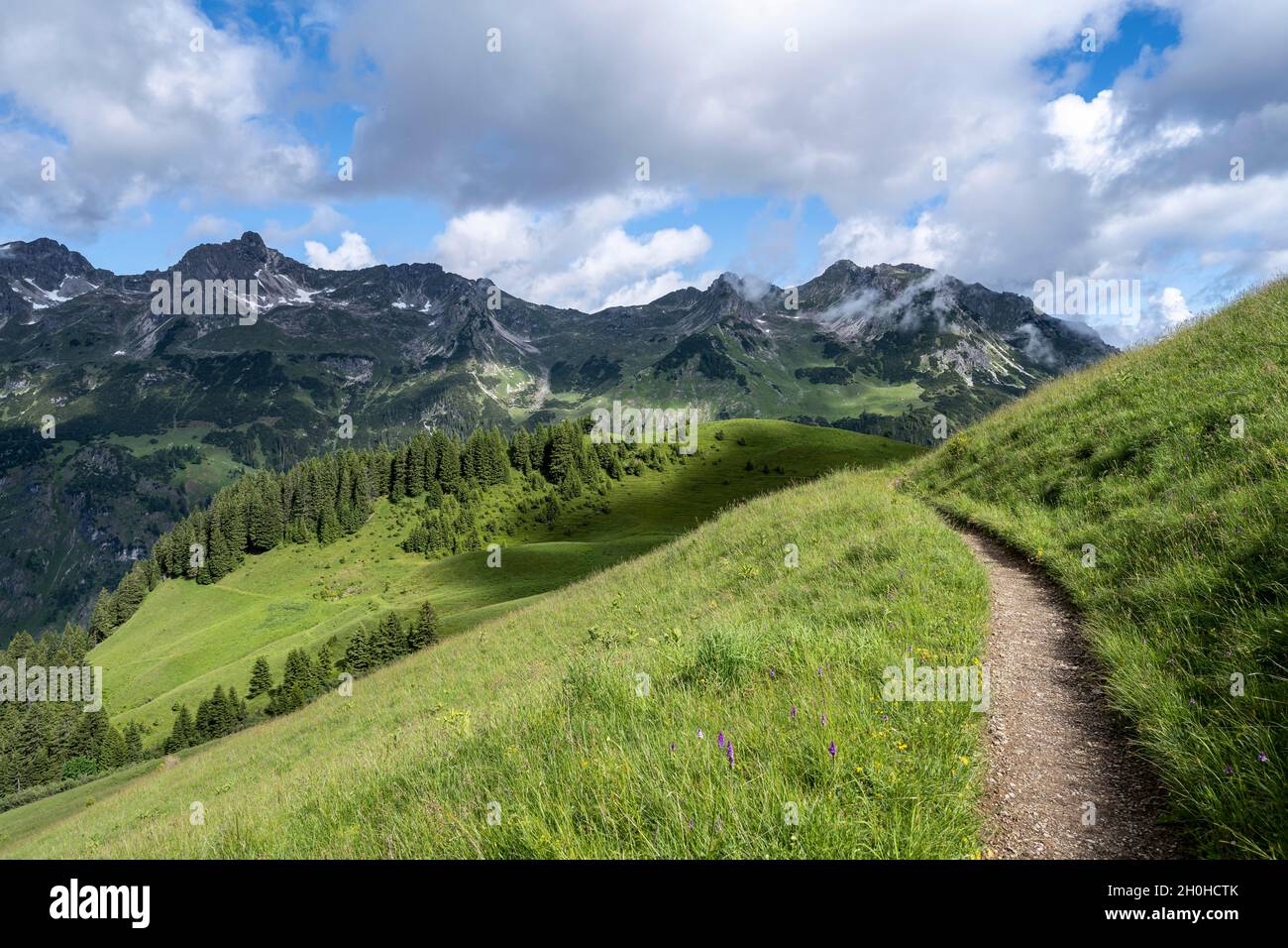Einsamer Wanderweg, Berge dahinter, Heilbronner Weg, Allgäuer Alpen, Oberstdorf, Bayern, Deutschland Stockfoto