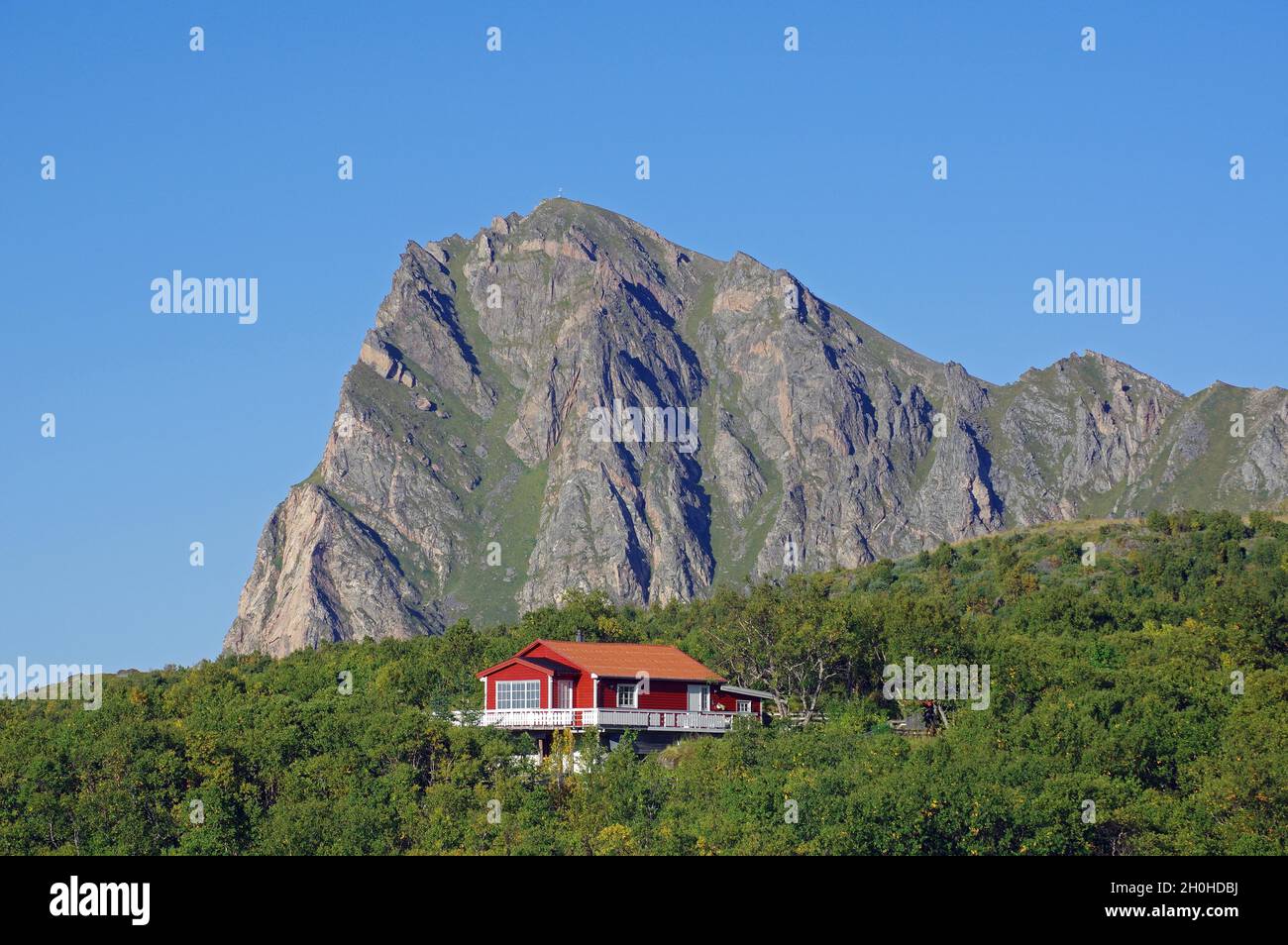 Einsames Ferienhaus vor schroffen Bergen, grüne Landschaft, Vesteralen, Bleik, Andoya, Skandinavien, Norwegen Stockfoto