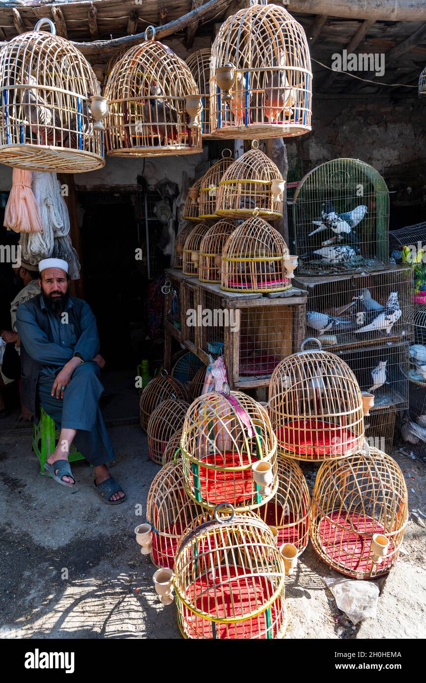 Vögel zu verkaufen, Bird Street, Kabul, Afghanistan Stockfoto
