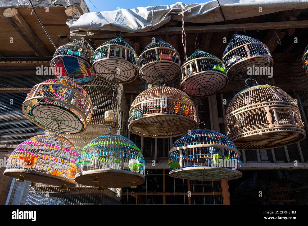 Vögel zu verkaufen, Bird Street, Kabul, Afghanistan Stockfoto