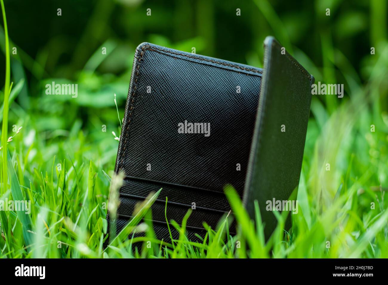 Die beste und hochwertige Geldtasche aus Leder, Geldbörse für Frauen, Mädchen und Jungen Stockfoto