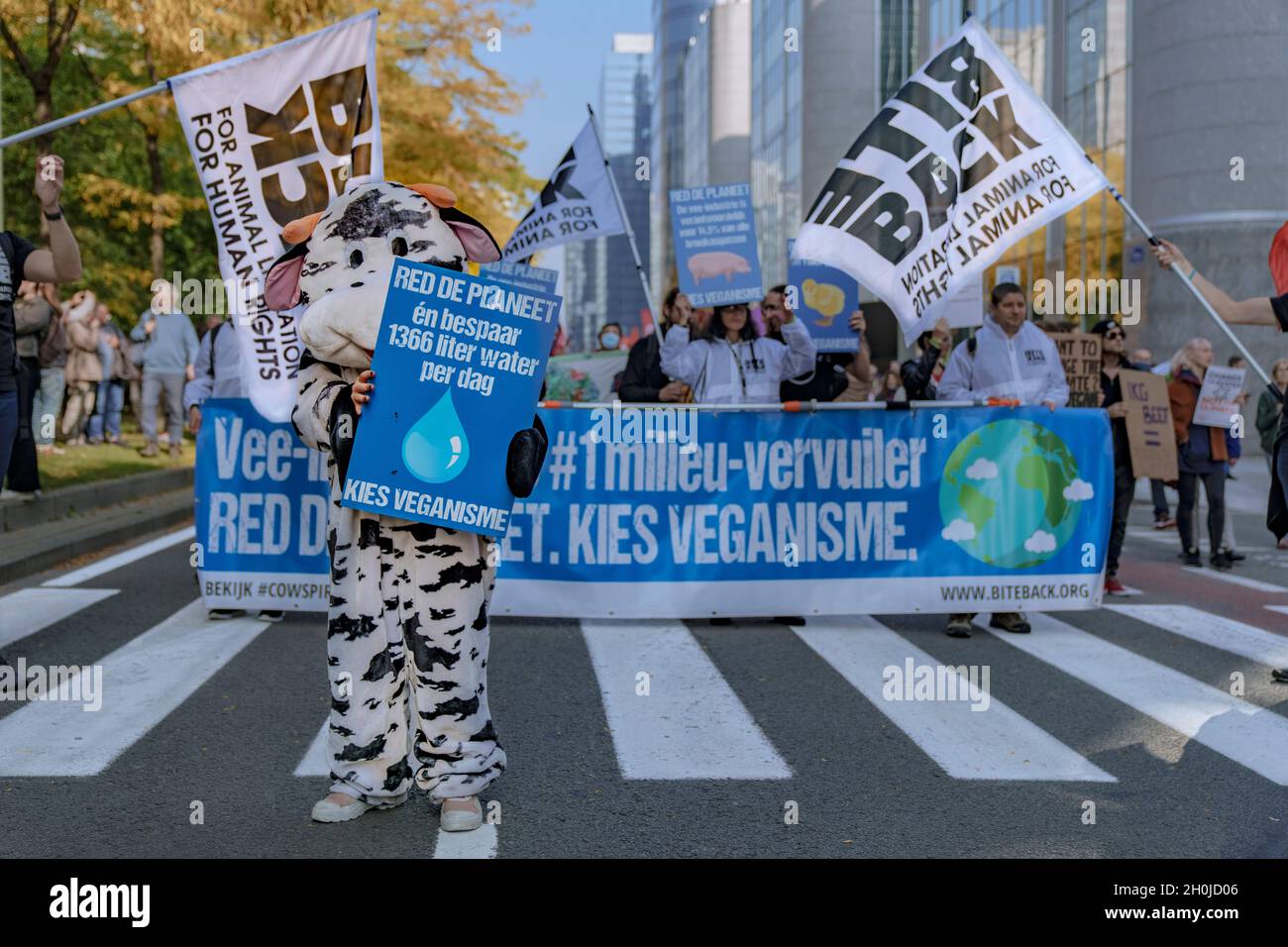 Brüssel, Belgien - Okt. 10. 2021. Zurück zum Klimamarsch. Zehntausende haben sich für dringende Maßnahmen gegen den Klimawandel eingesetzt. Stockfoto