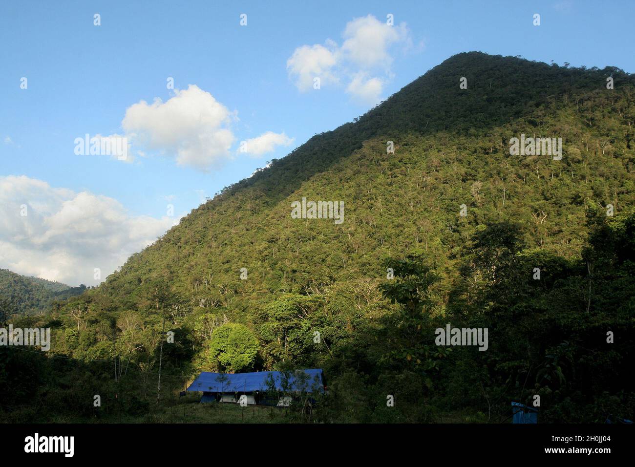 Blick auf ein Camp im peruanischen Dschungel. Forest San Matias-San Carlos. Oxapampa, Pasco, Perú. August 2008. Stockfoto