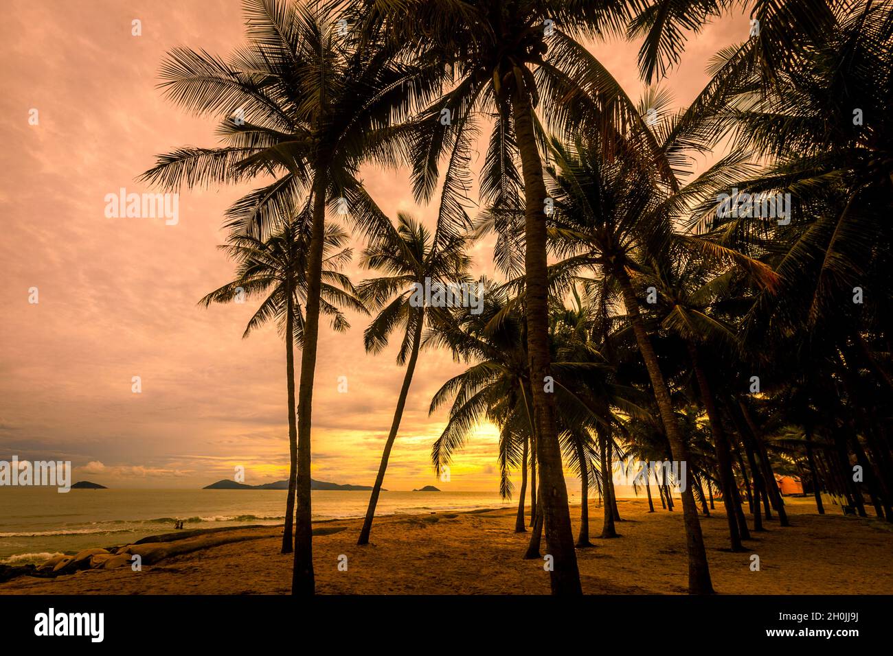 CAU Dai Beach in Hoi an. Stockfoto