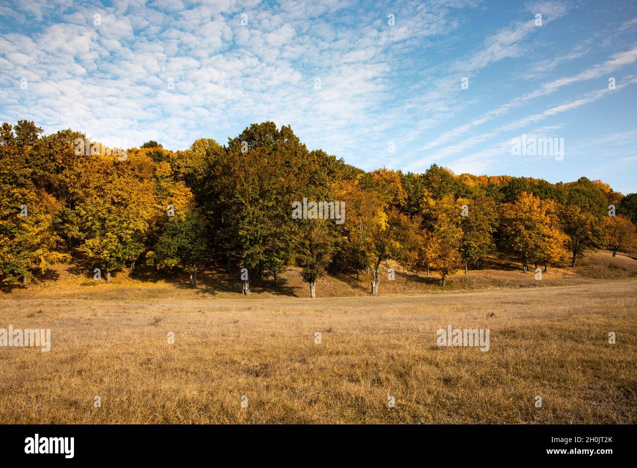„der Geruch des Herbstes“ - Herbstfarben Landschaft Stockfoto