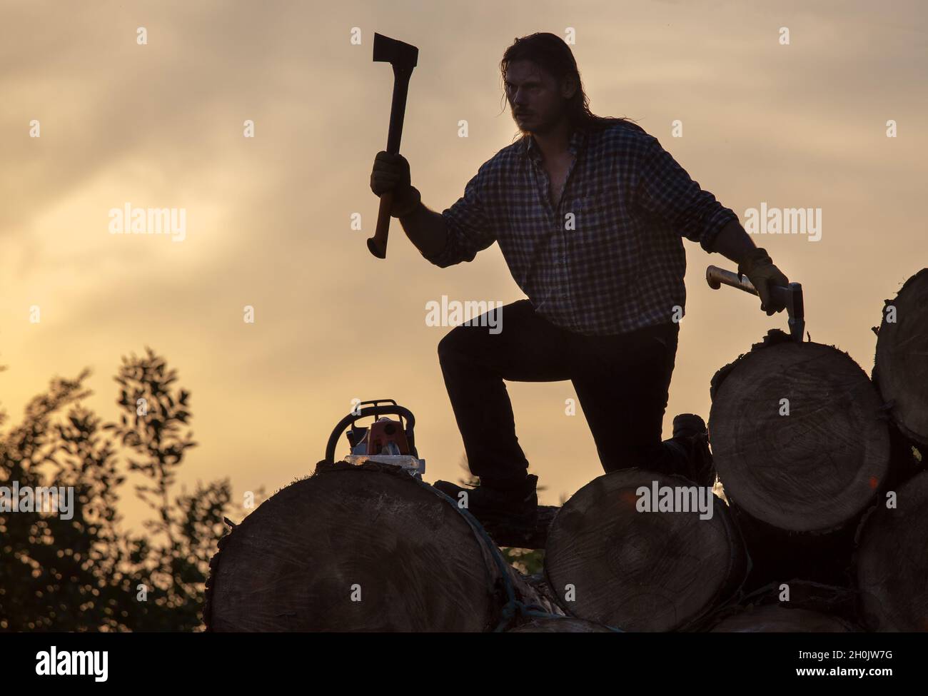 Starker Holzfäller schwingt bei Sonnenuntergang mit Axt über Holzstamm im Wald Stockfoto Starker Holzfäller schwingt bei Sonnenuntergang mit Axt über Holzstamm im Wald Stockfoto