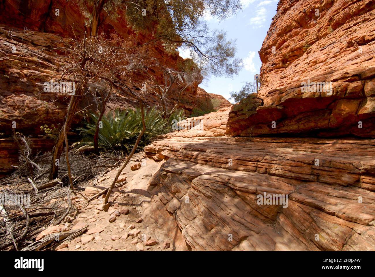 Kings Canyon, Australien, Northern Territory, Alice Springs Stockfoto
