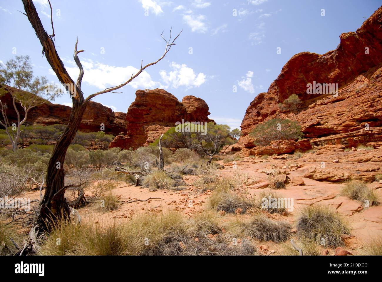 Landschaft am Kings Canyon, Australien, Northern Territory, Alice Springs Stockfoto