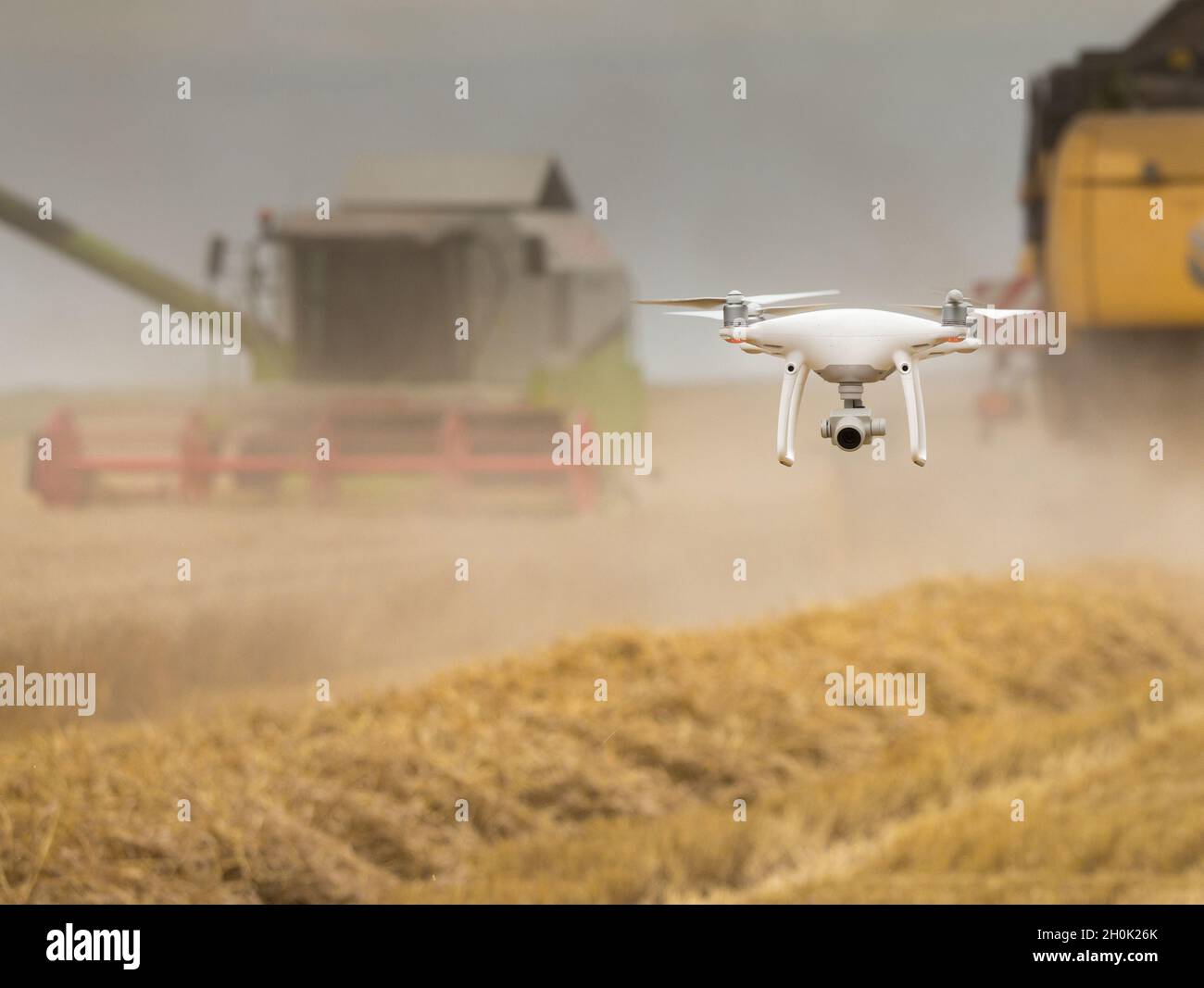 Drohne fliegt vor zwei Mähdreschern, die im Sommer im Weizenfeld arbeiten Stockfoto